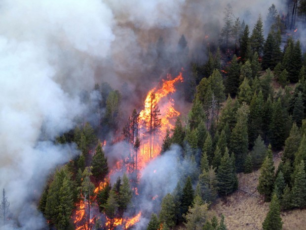 Wallow Fire